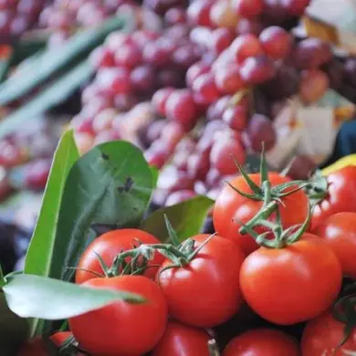 Pediatricdentalartinc